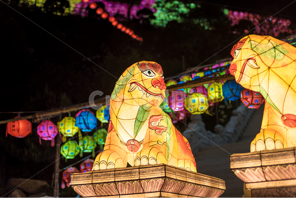 night view,sight,temple,lotus lantern,Buddhas Birthday,buddhism