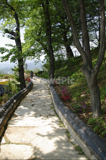 부석사,건축,전통건축,traditional,전통,기와지붕,담장,초록,나무,잎,식물,plant,계절,봄,spring,한국전통,한국문화,korean traditional,korean culture