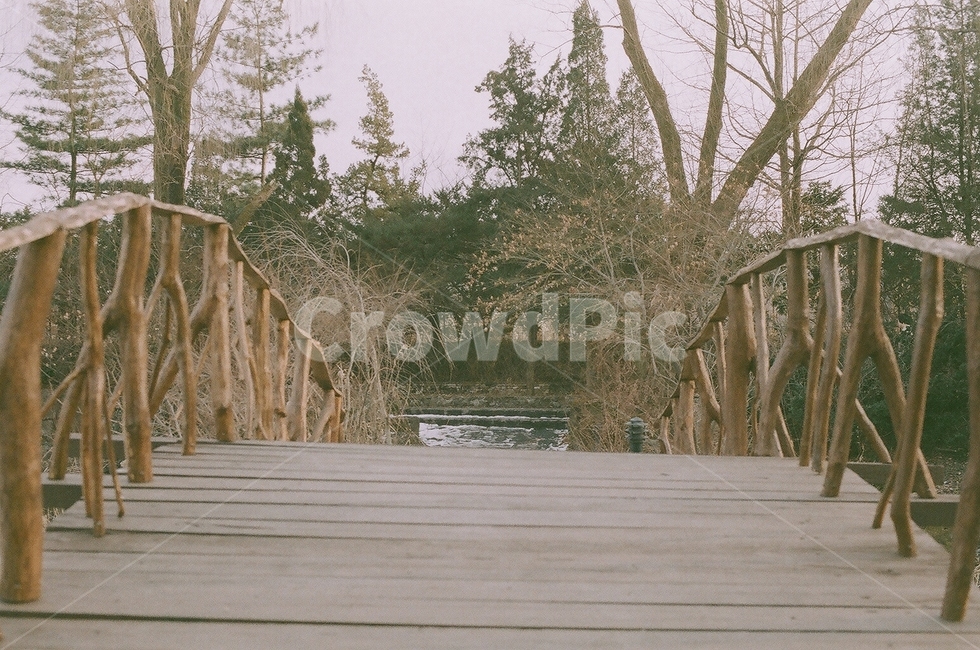 bridge,다리,boardwalk,산책로,나무,wood,건물,building