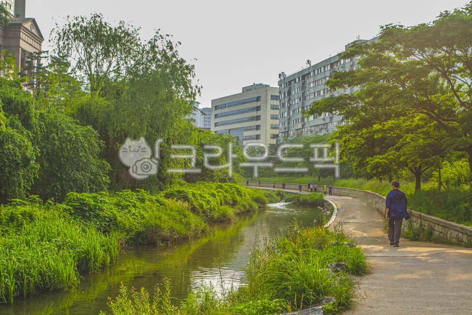 서울,청계천,산책,산책로,건물,고층건물,도로,물,인간,옥외,통로,building,highrise,road,water,human,outdoors,path