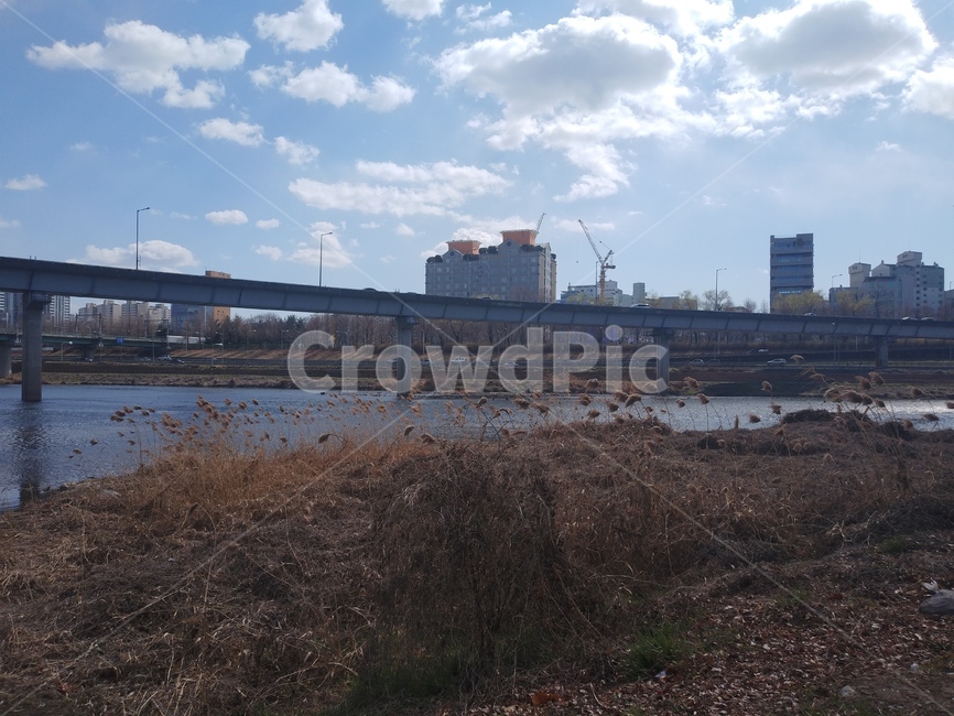 road,도로,plant,식물,건물,building,갈대,강,river