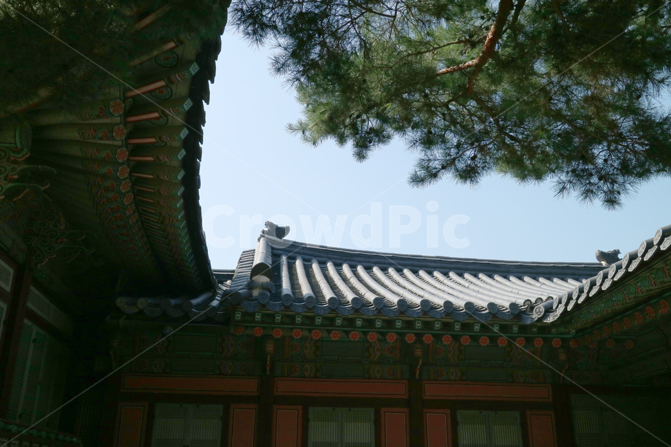고궁,궁전,한국전통,한국,건축,건물,동양건축,한국의고궁,전통,민속,전통가옥,한옥,대한민국,문화재,한국전통,한국문화,korean traditional,korean culture,랜드마크,landmark,tourist attraction,한국랜드마크,한국관광지,한국명소,korea landmark,korea tourist attraction,건축물,건물외관,exterior,building,structure,architecture,construction