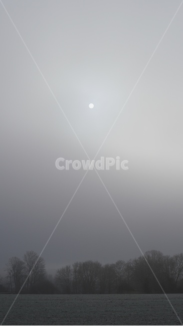 nature,자연,fog,안개,흑백,weather,고요,정적,우울,명상,사색