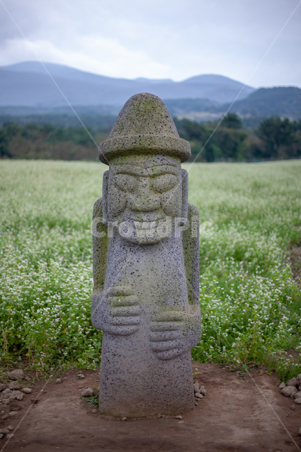 돌하르방,제주,제주도,메밀꽃밭,하르방,제주하루방,제주도,jeju,jeju island,조각상,동상,석상,조형물,statue,bronze statue,stone statue