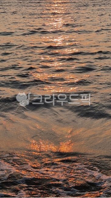 자연,바다,water,sunlight,햇빛,노을,윤슬