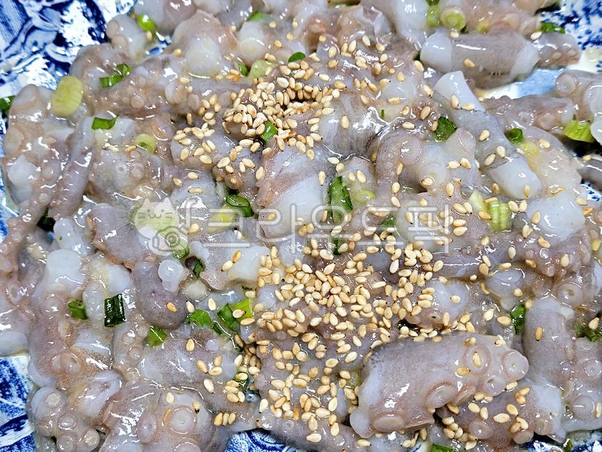 산낙지,낙지,낙지탕탕이,요리,음식,해산물,food