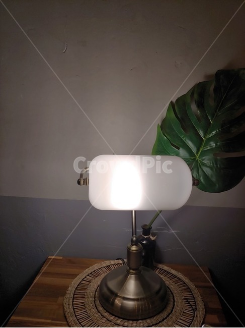 조명,인테리어,잎,카페,빛,실내,은은한,분위기,전구,소품,색감,등,잎사귀