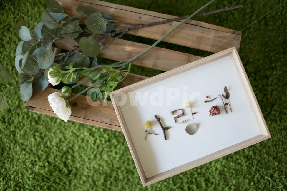 사랑,액자,감성사진,감성,사랑해,꽃,꽃액자,인테리어,식물,자연,plants,nature,꽃,flower,감정표현,기분,feeling,emotion,예술,art