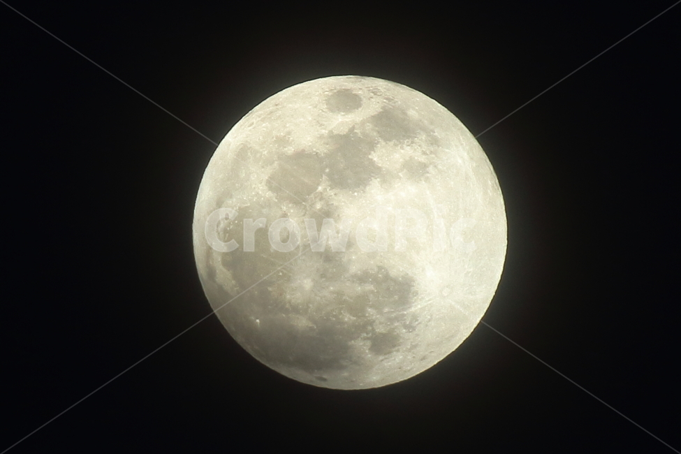 개기월식,슈퍼문,블루문,블러드문,신비,천체,달,moon,super,blood,bloogmoon,우주,신비로움,야경,밤,풍경,nightscape,night,landscape,outer space,대기권 밖,astronomy,천문학,outdoors,옥외,nature,자연,universe