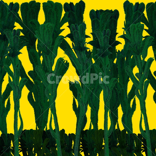 art,미술,graphics,제도법,현대미술,modernart,그래픽,일러스트레이션,graphic,illustration