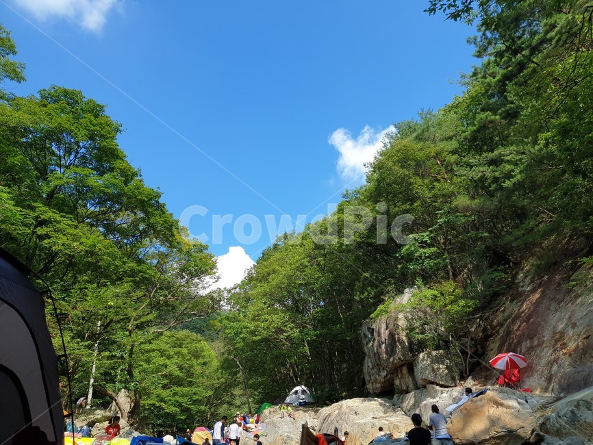 산,구름,파랑,bluesky,녹색초록,green,자연풍경,여름,나무,숲
