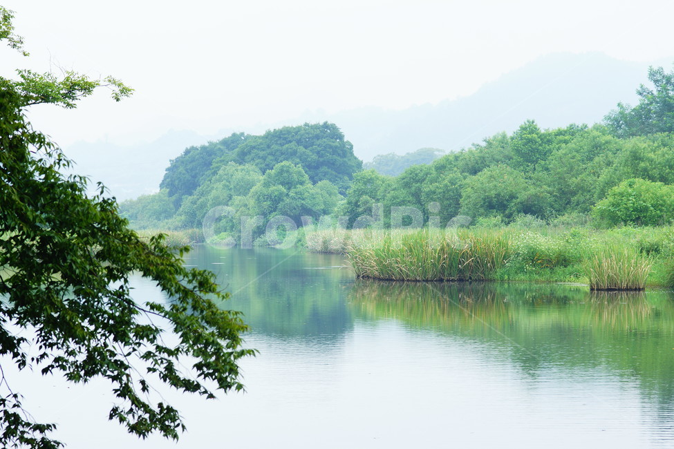 물,water,nature,자연,plant,식물,초목,tree,나무,자연,풍경,nature,landscape,outdoors,옥외