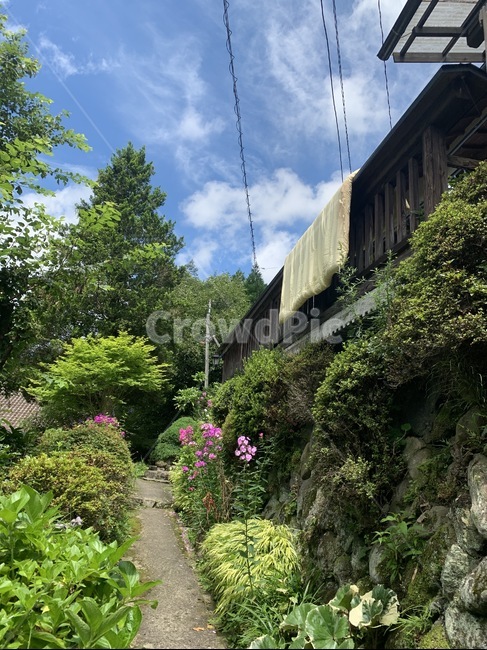 시골,일본,마을,유유자적,동네,자연,풍경,nature,landscape