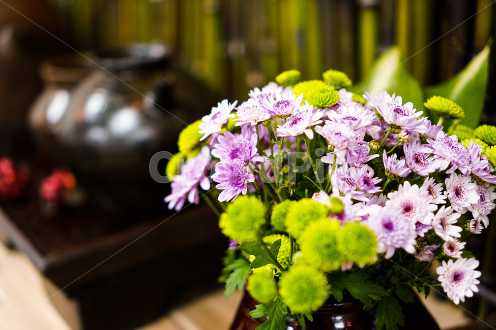 국화,꽃,항아리,장식,꽃꽂이,식물,자연,plants,nature,꽃,flower,실내용화초,화분,화초,house plant,인테리어,실내디자인,interior design