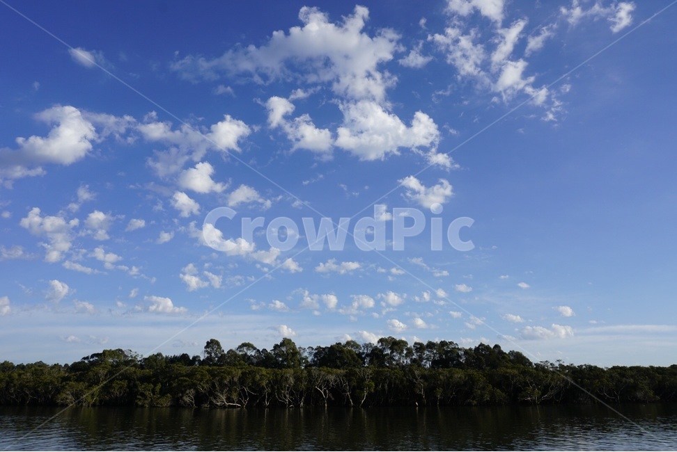 시드니,Sydney,자연,nature,풍경,scenery,하늘,sky,구름,cloud,나무,tree,호주,australia,자연,풍경,nature,landscape,outdoors,옥외,weather,날씨,cumulus,적운,water,물