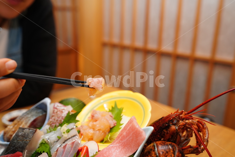 회,일식,생선,해산물,해물,술안주,안줏거리,음식,푸드,컬러,색감,원색,먹방,fish,food,모임,술자리,음식,식재료,요리,food,cook,meal,dishes,food reserves,수산물,해산물,fishery products,seafood