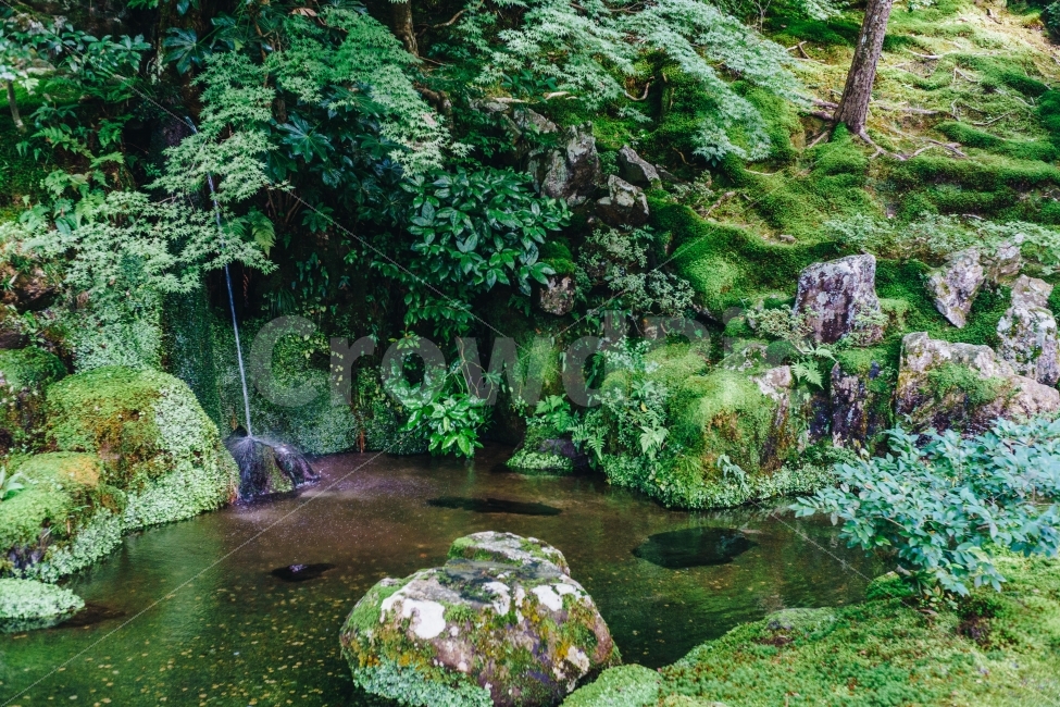 일본,교토,은각사,긴카쿠지,銀閣寺,여행,일본여행,여행지,관광지,japan,kyoto,travel,touristspots,temple,연못,pond,숲,forest,자연,풍경,nature,landscape,랜드마크,landmark,tourist attraction,해외,외국,세계,foreign,oversea,world,세계랜드마크,해외랜드마크,외국랜드마크,world landmark,world tourist attraction,vegetation,초목,plant,식물,water,물,outdoors,옥외,land,땅,rainforest,열대 우림,tree,나무