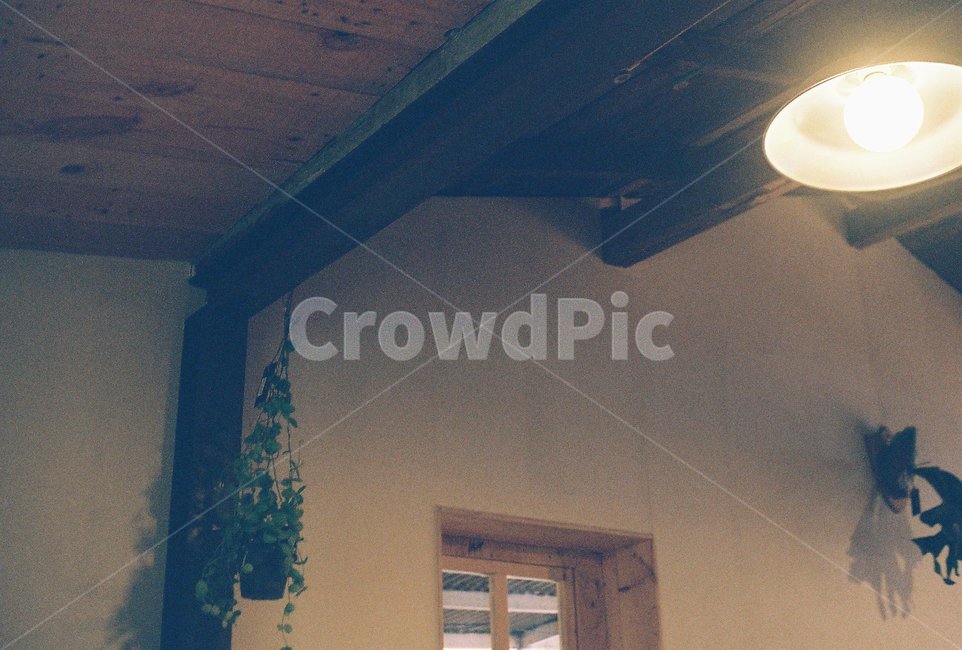 실내,내부,조명,light,인테리어,interior,indoor,필름,필름사진,film,flower,lighting,전구,homedecor,가정장식