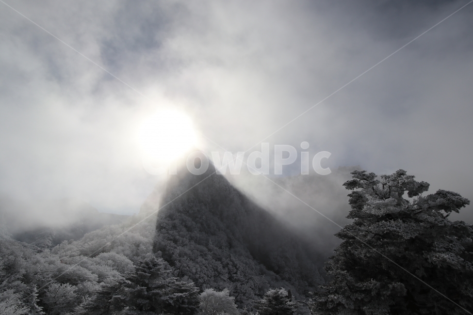 한라산,상고대,설산,겨울,겨울산행,눈꽃,진달래대피소,성판악,관음사,제주도,제주,백록담,겨울,계절,winter,season,자연,풍경,nature,landscape,weather,날씨,light,빛,flare,플레어