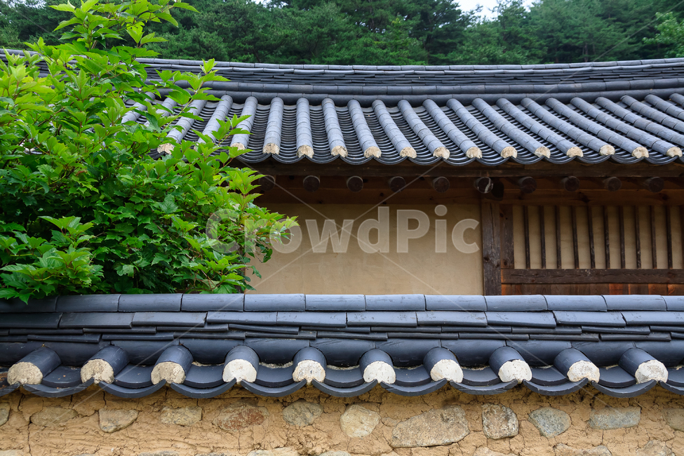 선비촌,기와집,한옥,한옥마을,지붕,건물,전통적인,문화,한국전통,한국문화,korean traditional,korean culture,건축물,건물외관,exterior,building,structure,architecture,construction
