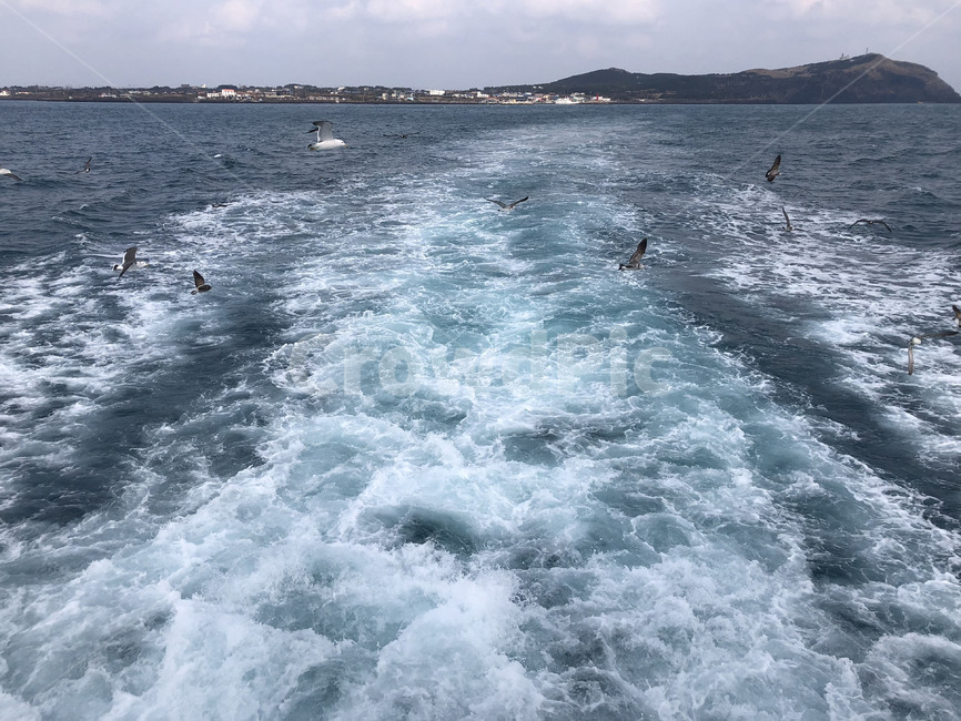 제주도바다,우도바다,스크류거품,파도,갈매기,우도,물거품,배지나간자리,제주도,바다,흐린바다,흐린날바다,자연,풍경,nature,landscape,ocean,대양,water,물,sea,outdoors,옥외