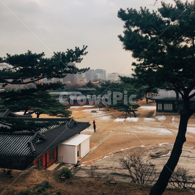한국,궁궐,창경궁,겨울,전통,감성,한국전통,한국문화,korean traditional,korean culture,랜드마크,landmark,tourist attraction,한국랜드마크,한국관광지,한국명소,korea landmark,korea tourist attraction