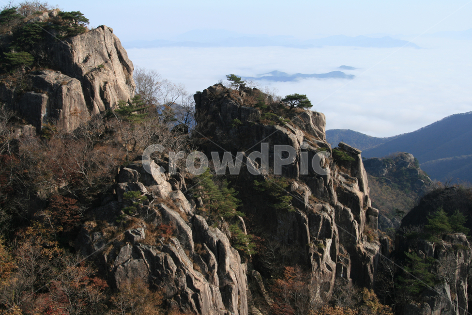 산,대둔산,가을,안개,운해,아침,바위,한국