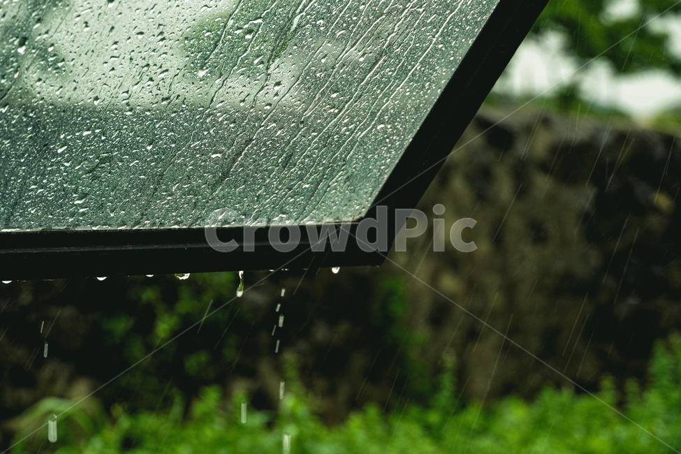 비,담벼락,창문,초록색,rain,wall,window,green,감성,rainning,비,비오는날,rain,rainy