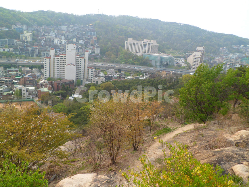 봄,개나리,동산,언덕,풍경,자연풍경,봄풍경,벚꽃,scenery,spring,도시,풍경,city,landscape,한국도시풍경,한국도시경관,korea cityscape,경치,nature,자연,outdoors,옥외