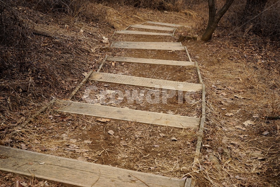 산행,식물,자연,초봄,계절,풍경,landscape,nature,낙엽,나무가지,trees,desolation,solitary,fallenleaves,brown,branches,계단,stairs,작은길,숲길,산책길,낙옆,겨울산,trail,forest,자연,풍경,nature,landscape,dirt road,흙길,gravel,자갈,road,도로,ground,바닥