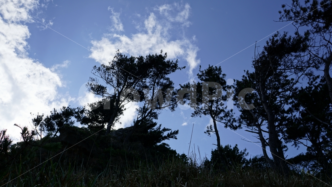 하늘,구름,푸른,역광,나무,산,풀,식물,자연,경치,풍경,휴양지,휴양,cloud,sky,sea,푸른하늘,자연,풍경,nature,landscape,outdoors,옥외