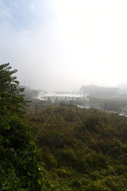 nature,자연,안개,가을,풍경,자연,풍경,nature,landscape