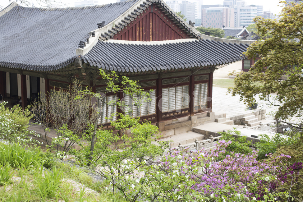 궁,고궁,건축,한옥,기와,지붕,풍경,나무