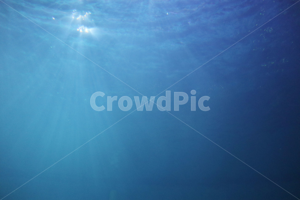 바다,잠수,빛,물속,물,해양,sea,배경화면,자연,배경,바다속,워터,심해,수중,water,심오,웅장,아쿠아리움,바닷속,빛내림,수조,자연배경,신비,자연,풍경,nature,landscape,outdoors,옥외