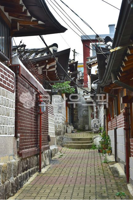 Begyeong,Bukchon,house,building,architectural style,preservation,path,road,tiled house,residence,close,sidewalk,traditional village,town,Korean,walkway,House,Passage,flower,outdoor,outdoors,background,vintage,road name,stonewall,traditional architecture,w