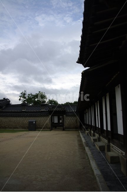 낙선재,창덕궁,고궁,전각,한옥,전통가옥,기와지붕,건축,traditional,한국전통,한국문화,korean traditional,korean culture,랜드마크,landmark,tourist attraction,한국랜드마크,한국관광지,한국명소,korea landmark,korea tourist attraction,건축물,건물외관,exterior,building,structure,architecture,construction