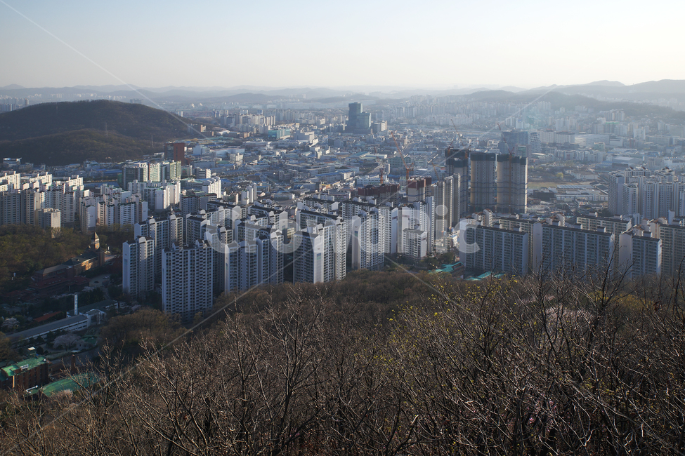 모락산,경기도,의왕시,도심풍경,도시,건물,군포시