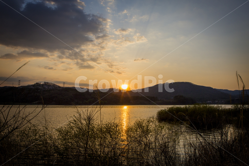 nature,자연,outdoors,light,빛,옥천,수북리,대청호,저녁,일몰,노을,갈대,물,하늘,구름,자연,풍경,nature,landscape,옥외,flare,플레어,sunlight,햇빛