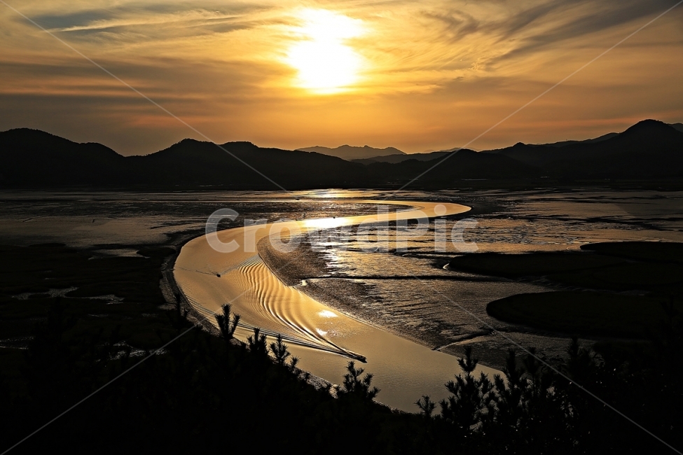 순천만,순천,일몰,귀향,순천만일몰,자연,풍경,nature,landscape,한국자연풍경,한국자연경관,korea nature landscape,flare,플레어,light,빛,sunlight,햇빛,outdoors,옥외