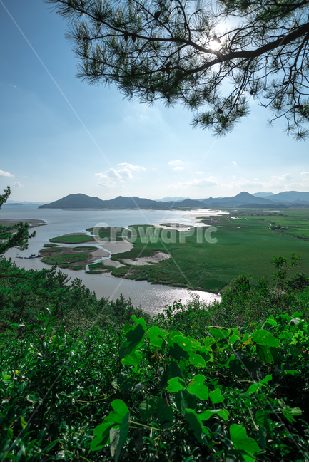 순천만,습지,풍경,자연,landscape,배경화면,sky,하늘,자연,풍경,nature,landscape,한국자연풍경,한국자연경관,korea nature landscape,outdoors,옥외,land,땅,water,물,scenery,sea,바다,ocean,대양