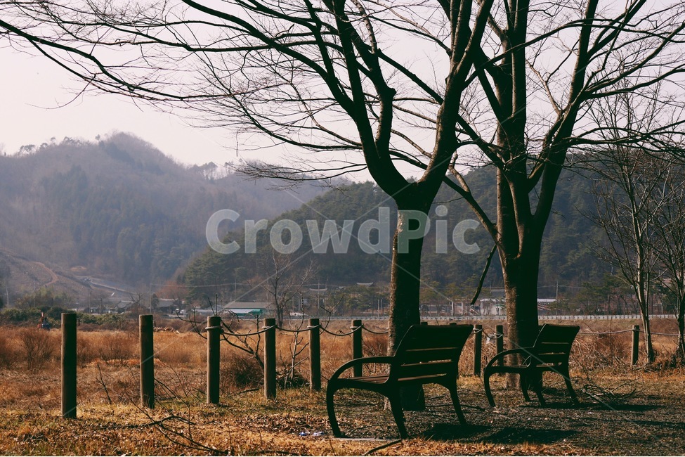 쉼터,감성,의자,나무,한적,겨울,계절,winter,season,시골,마을,풍경,landscape,country,rural,town,식물,자연,plants,nature,나무,trees,wood,감성,sensible,feeling