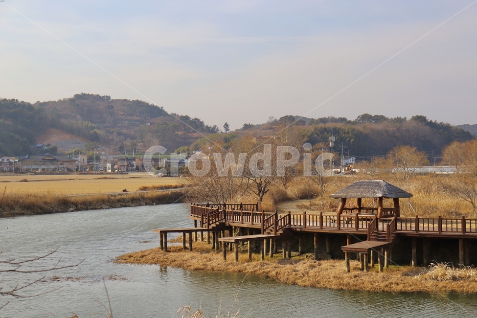 풍경,고즈넉,오두막,갈대,시골,산,나무,한적한,강물,고요,휴식,감성,가을,쓸쓸함,따뜻한,외로운,감성사진,마을,갈대길,순천,힐링,자연,배경,맑음,낮,바탕,길,landscape,cabin,rural,country,autumn,healing