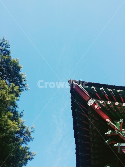 하늘,지붕,풍경,기와,자연