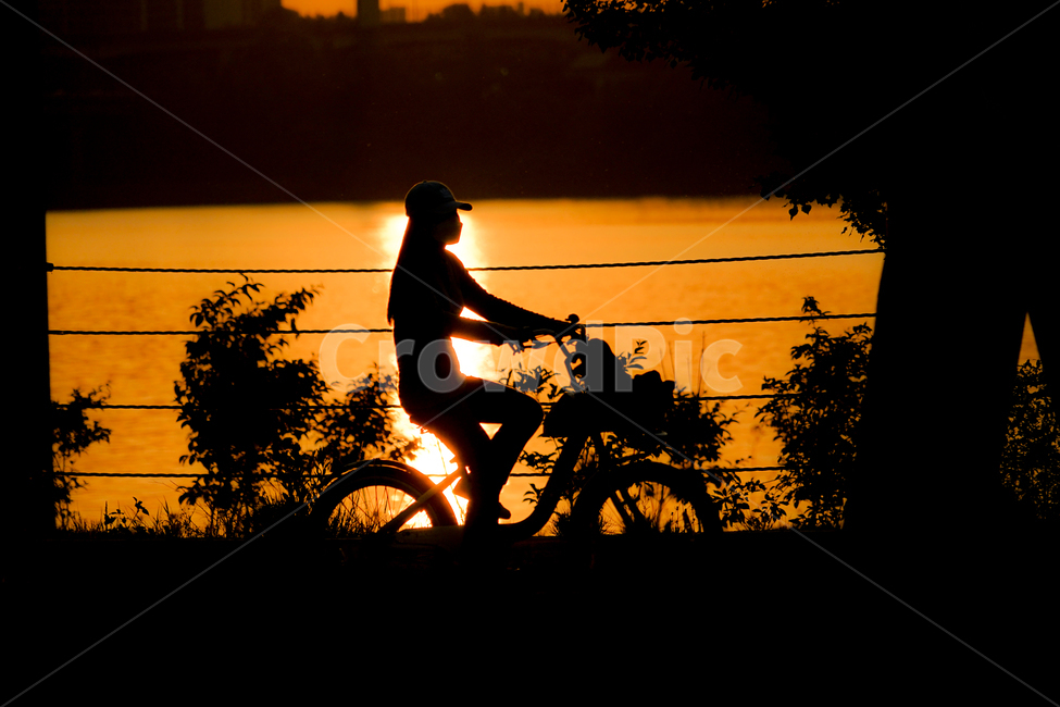 person,사람,human,인간,bicycle,자전거,bike,silhouette,실루엣,노을,sunset,사람,인물,인간,human,person,인물실루엣,사람실루엣,character silhouette,human silhouette