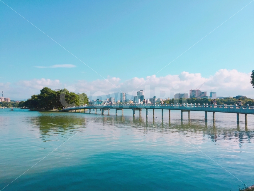 Japanese photo,Japan travel,japan,Ohori Park,sight,Fukuoka,lake