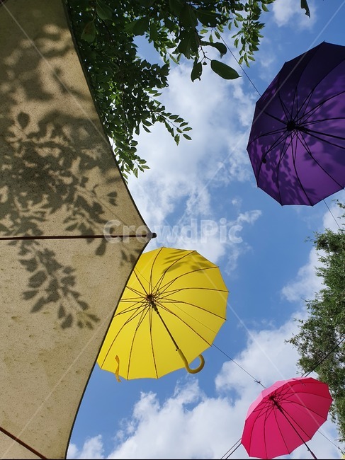 하늘,우산,umbrella,canopy,맑음,구름,날씨,풀,자연
