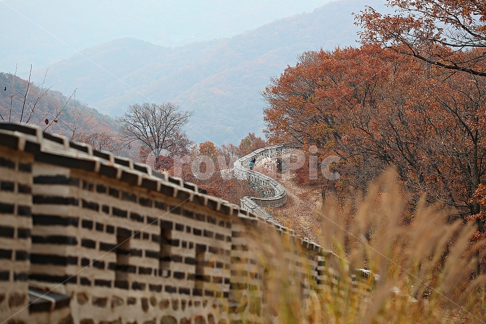 남한산성,성,성곽,단풍,낙엽,길,둘레길,숲,숲길,담,돌담,가을,자연,풍경,벽,울긋불긋,산성,식물,가을,계절,fall,autumn,season,한국전통,한국문화,korean traditional,korean culture,건축물,건물외관,exterior,building,structure,architecture,construction,tree,나무,plant