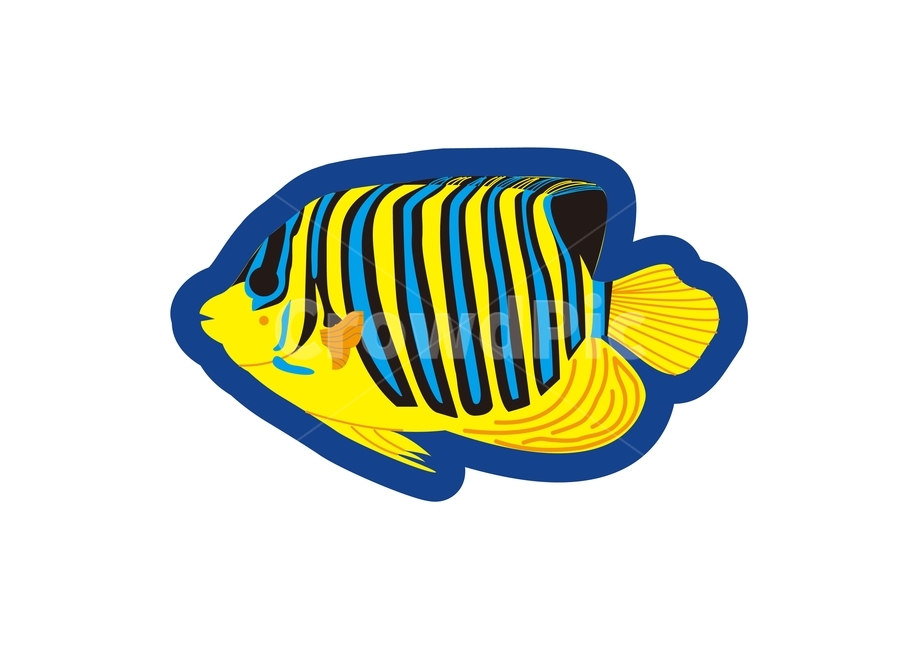 물고기,열대어,어류,캐릭터,tropicalfish,동물,animal,어류,물고기,fish,그래픽,일러스트레이션,graphic,illustration