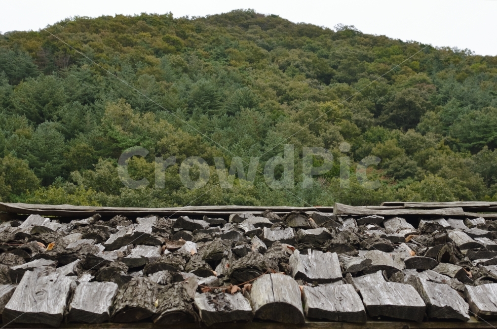 나무지붕,배경,너와집,산과지붕,느에집,능에집,건축물,건물외관,exterior,building,structure,architecture,construction,한국전통,한국문화,korean traditional,korean culture