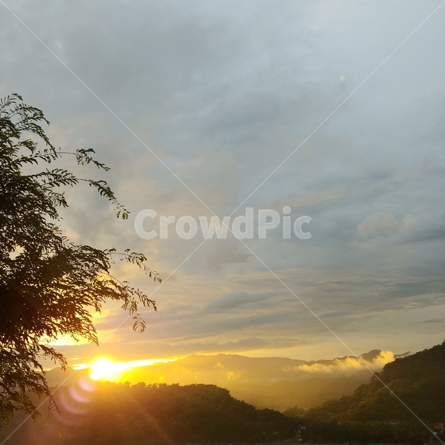 light,자연,sunlight,빛,flare,플레어,햇빛,outdoors,nature,옥외,자연,풍경,nature,landscape